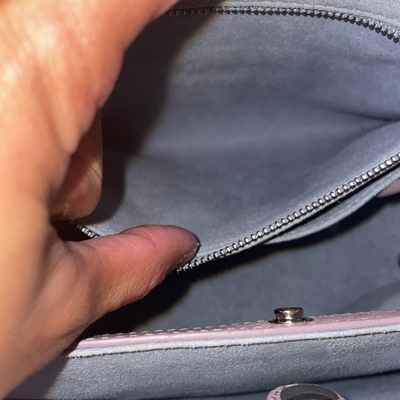 Mini maestra lavender mimosa - Picture 10 of 11